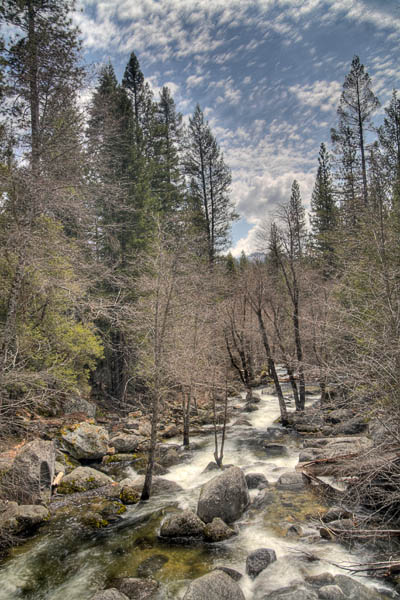 2006-04-21 Yosemite_MG_2260 copy