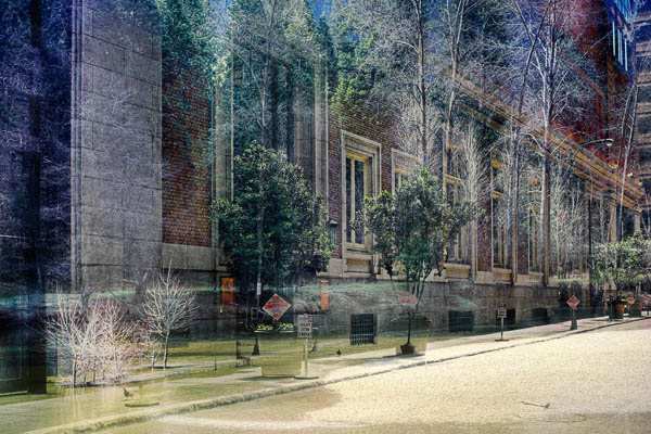 2006-04-22 Yosemite_MG_2572CA