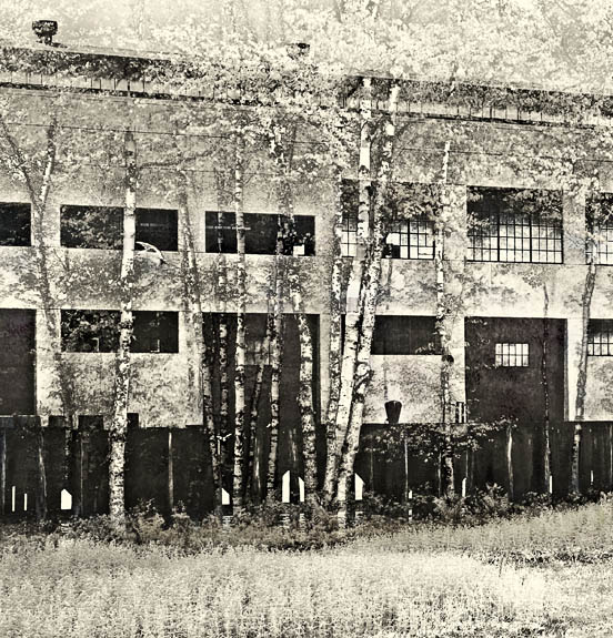 2006-05-29 Freeman_MG_3480C