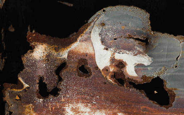 2006-07-09 Crockett_MG_4452