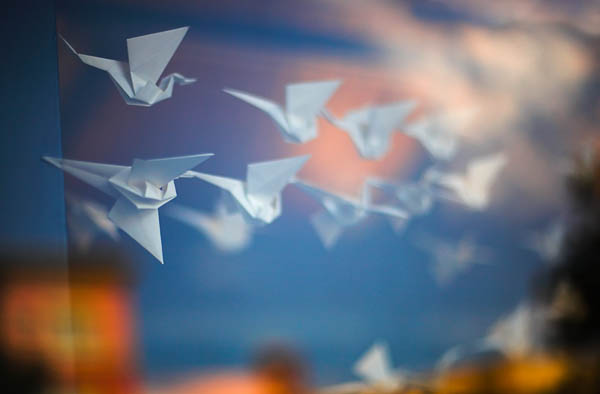 2006-07-30 Santana Row_MG_4652