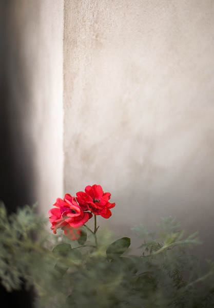 2006-07-30 Santana Row_MG_4688