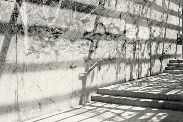 2006-09-03 SF_MG_4807-01C