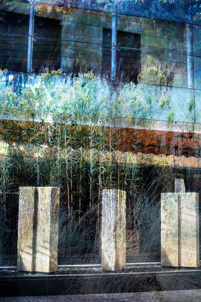 2006-09-03 SF_MG_4858C