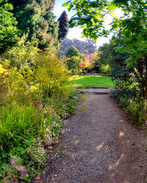 2006-09-23 Berkeley Botanical_MG_5001