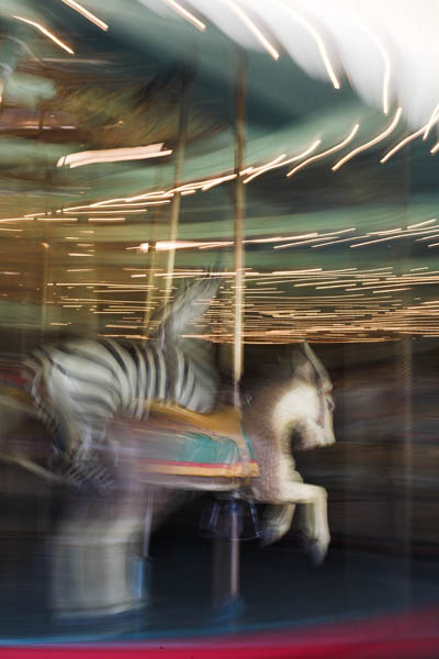 2006-09-23 Berkeley Botanical_MG_5171