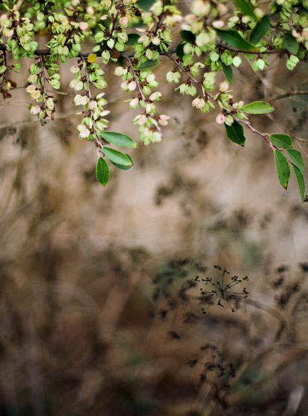 2006-09-30-Guadalupe-River5