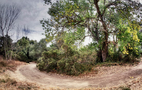 2006-09-30 Guadalupe River_MG_5278