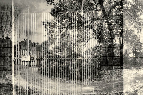 2006-10-01 de Young_MG_5364C