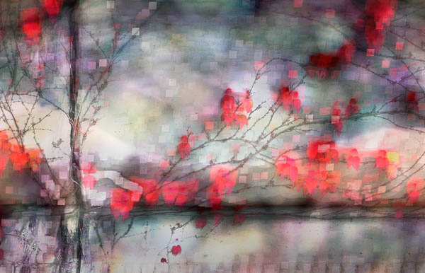 2006-10-07 Olivia Parker Workshop_MG_5424C