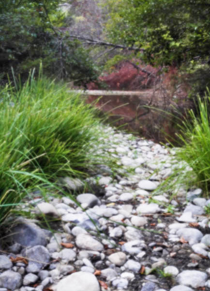 2006-10-09 Sunol_MG_5578