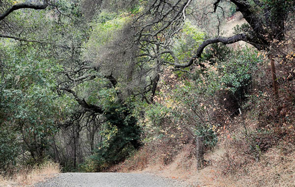 2006-10-15 Sunol_MG_5646