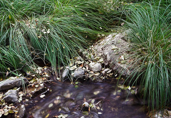 2006-10-15 Sunol_MG_5657