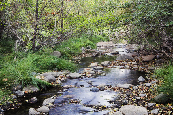 2006-10-23-Sunol_MG_5751