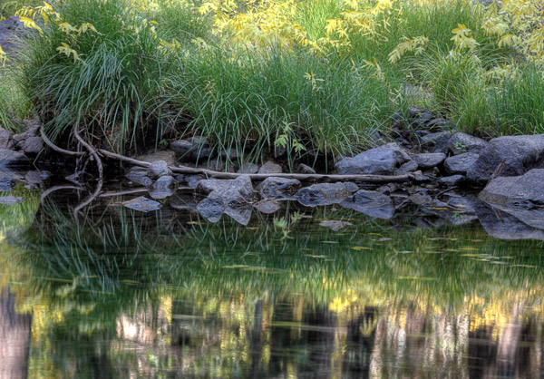 2006-10-28-Yosemite_5910