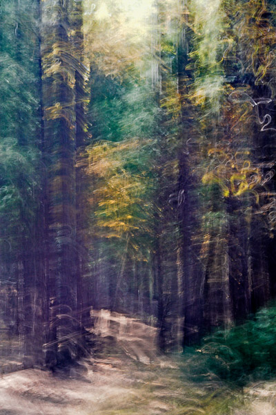 2006-10-28-Yosemite_MG_5961