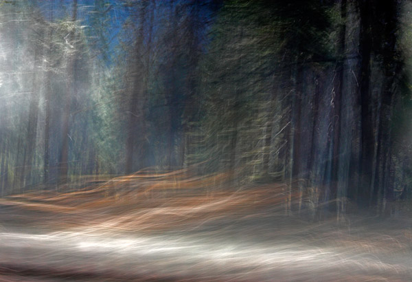 2006-10-28-Yosemite_MG_5962