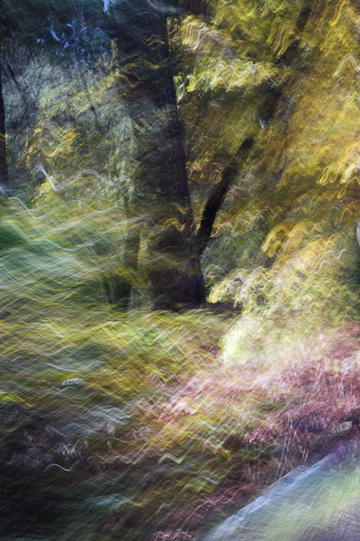 2006-10-28-Yosemite_MG_5978