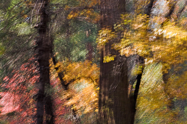 2006-10-28-Yosemite_MG_5980