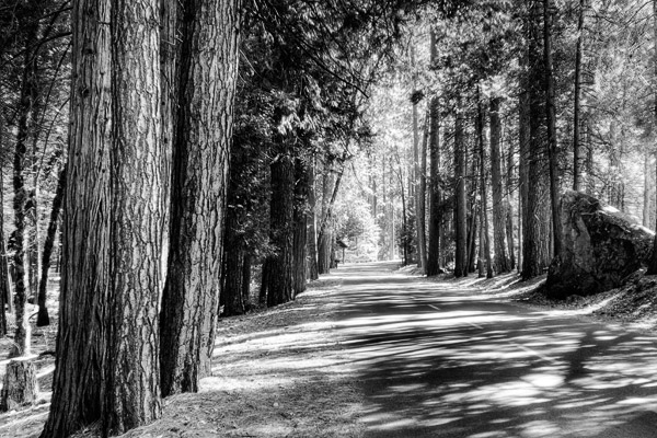 2006-10-29-Yosemite_6238BW