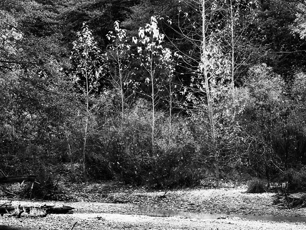 2006-10-29-Yosemite_6260BW