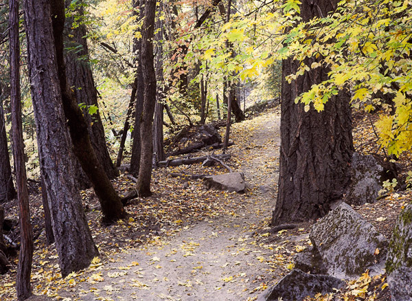 2006-10-29-Yosemite_MG_6287