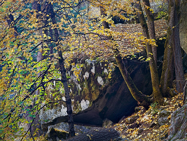 2006-10-29-Yosemite_MG_6291