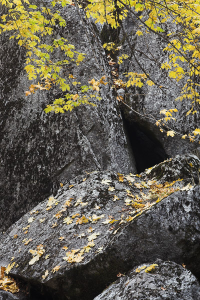 2006-10-29-Yosemite_MG_6293