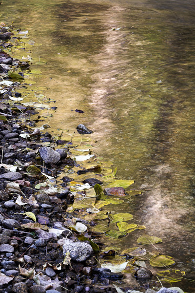 2006-10-29-Yosemite_MG_6390