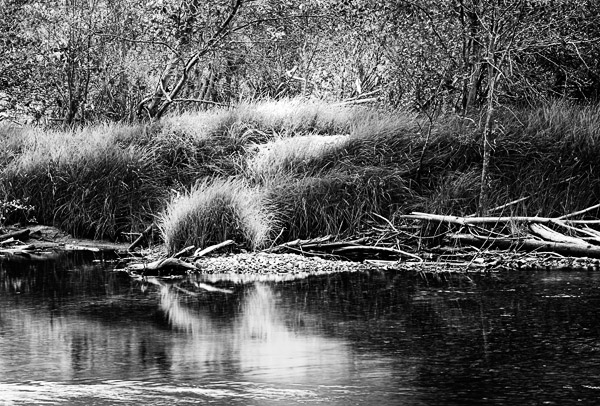 2006-10-30-Yosemite_6454BW