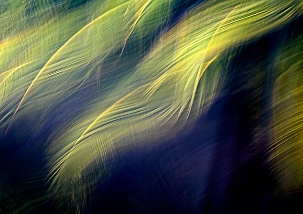 2006-11-08-Drive-by_MG_6493