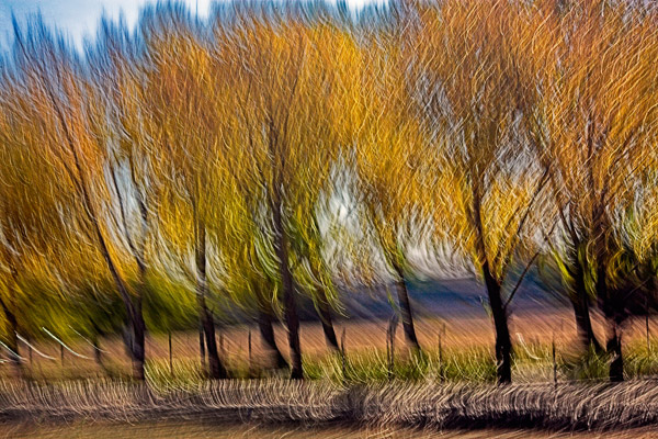 2006-11-08-Drive-by_MG_6512