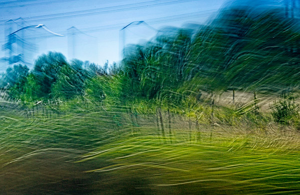 2006-11-08-Drive-by_MG_6518