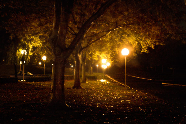 2006-11-13-Fremont-_MG_6908