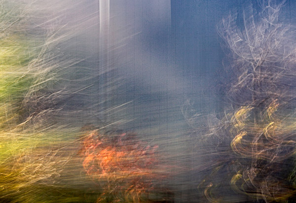 2006-11-24-Niles-Canyon-_MG