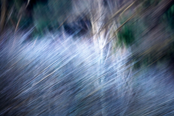 2006-12-28-Niles-Canyon-_MG_7965