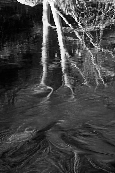 2006-12-28-Niles-Canyon-CRW