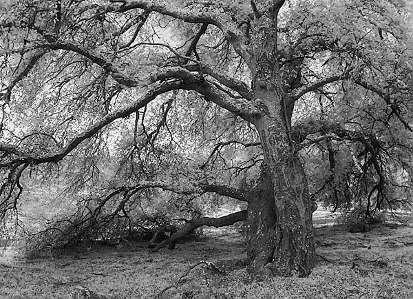 20060101_sunolcrw_5741