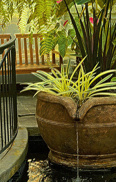 20060102_conservatory_of_flowers_mg_6471