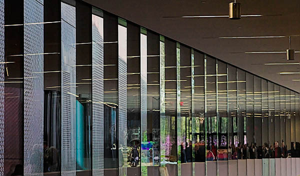 20060107_conservatory_of_flowers_mg_6824