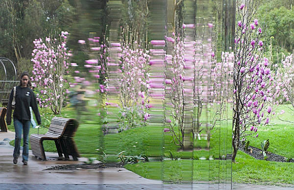 20060107_conservatory_of_flowers_mg_6853