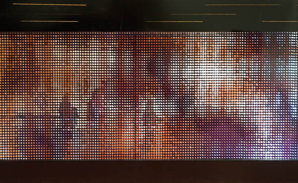 20060107_conservatory_of_flowers_mg_6869