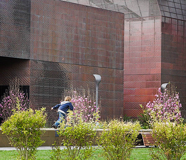 20060107_conservatory_of_flowers_mg_6901