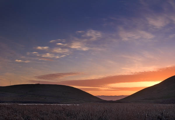 20060111_coyote_hills_mg_6987