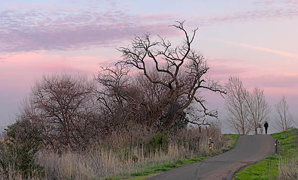 20060111_coyote_hills_mg_7014p