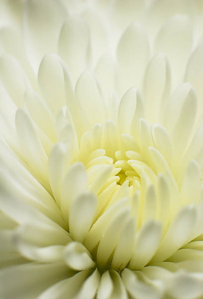 20060112_home_mg_7029