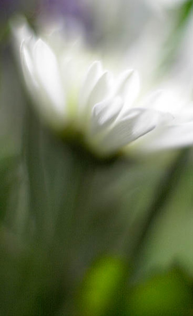 20060113_home_mg_7084