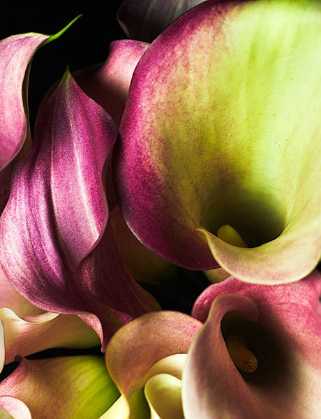 20060118_home_mg_7341