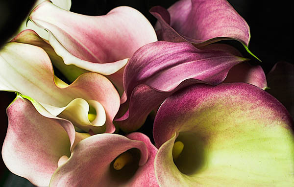 20060118_home_mg_7343