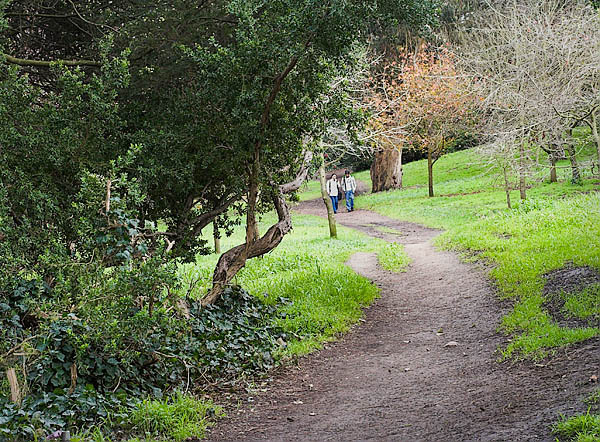 20060129_home_mg_7587